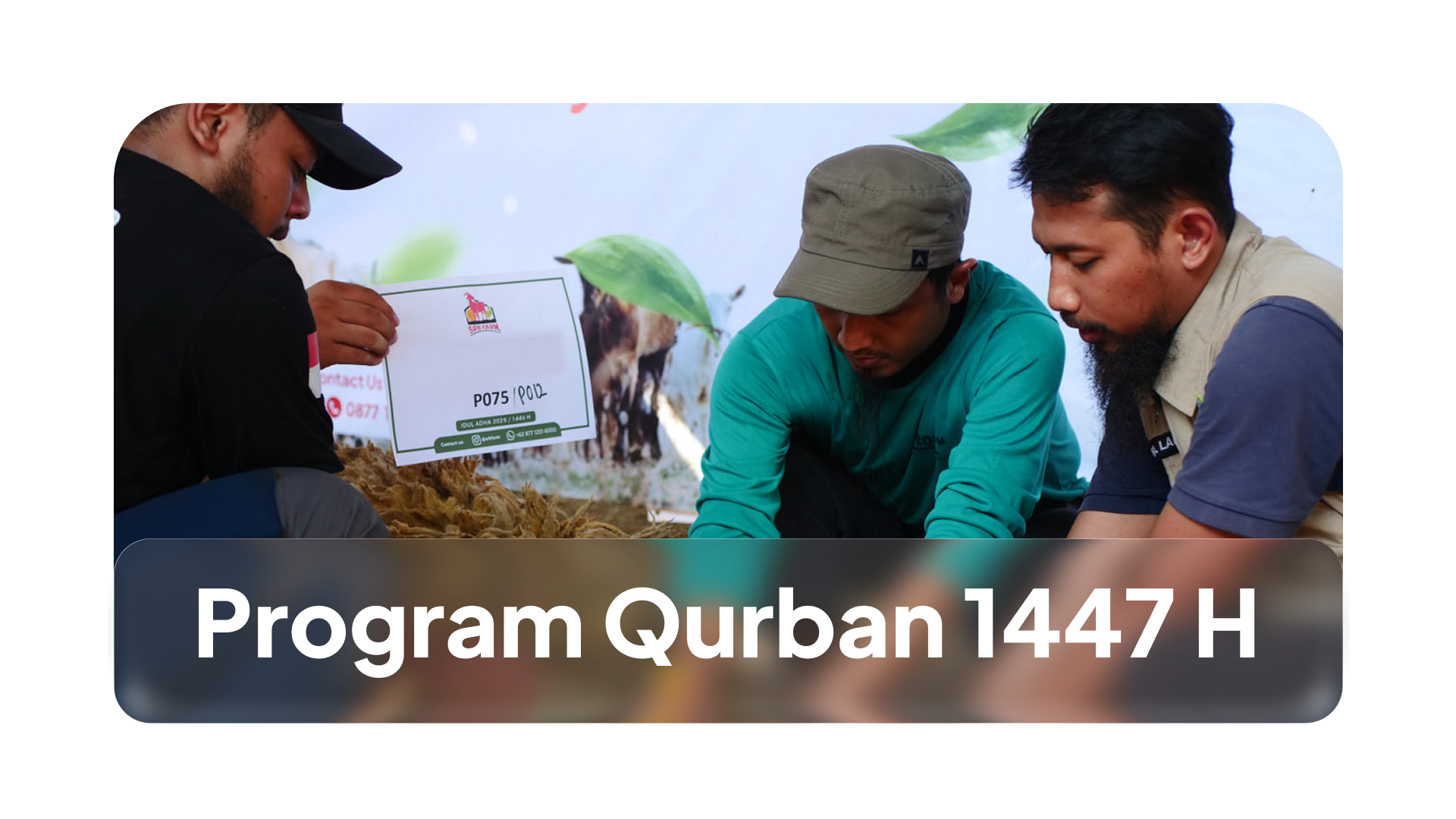 You are currently viewing Program Qurban 1447 H STDIIS